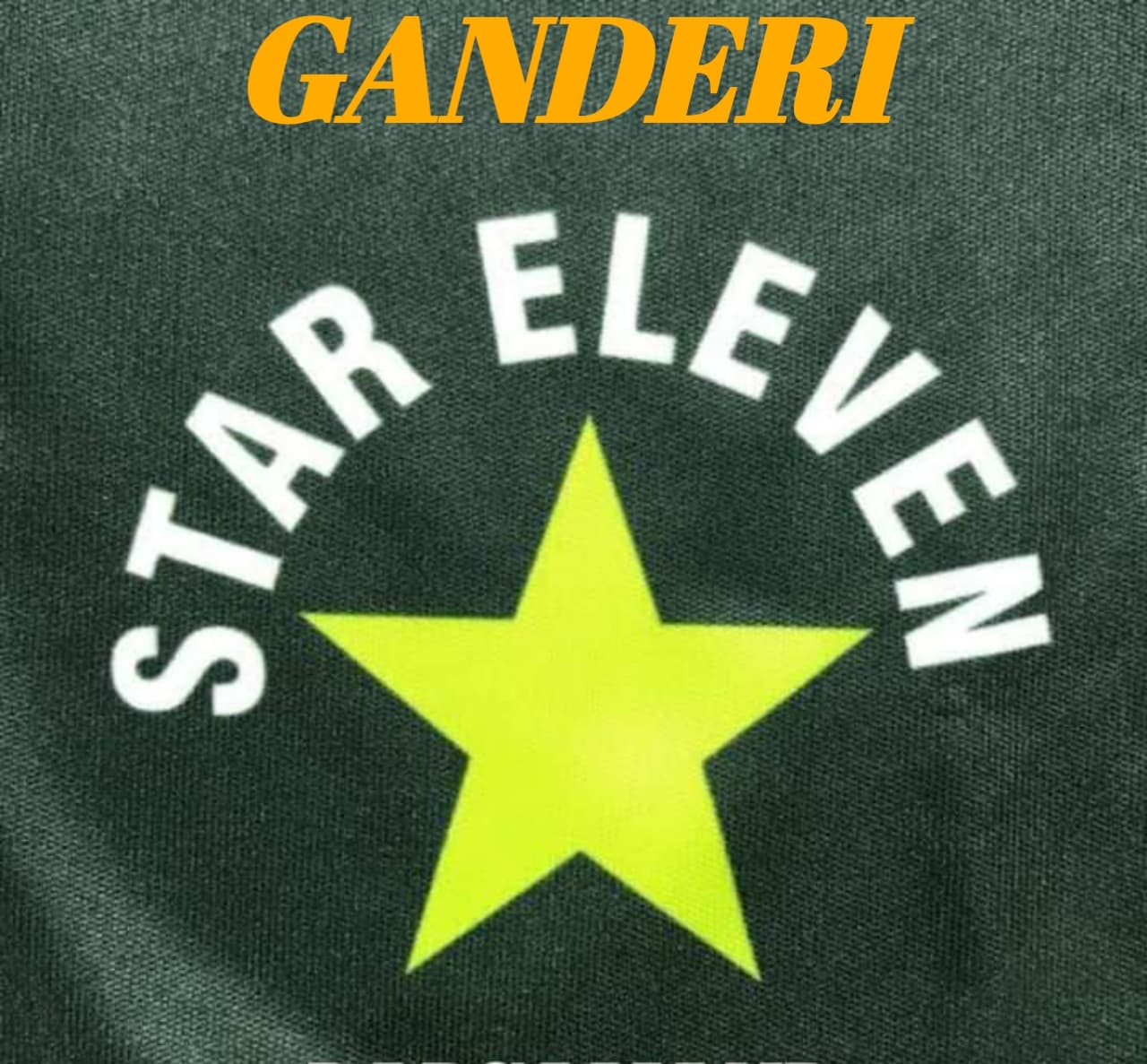 Ganderi Star 11