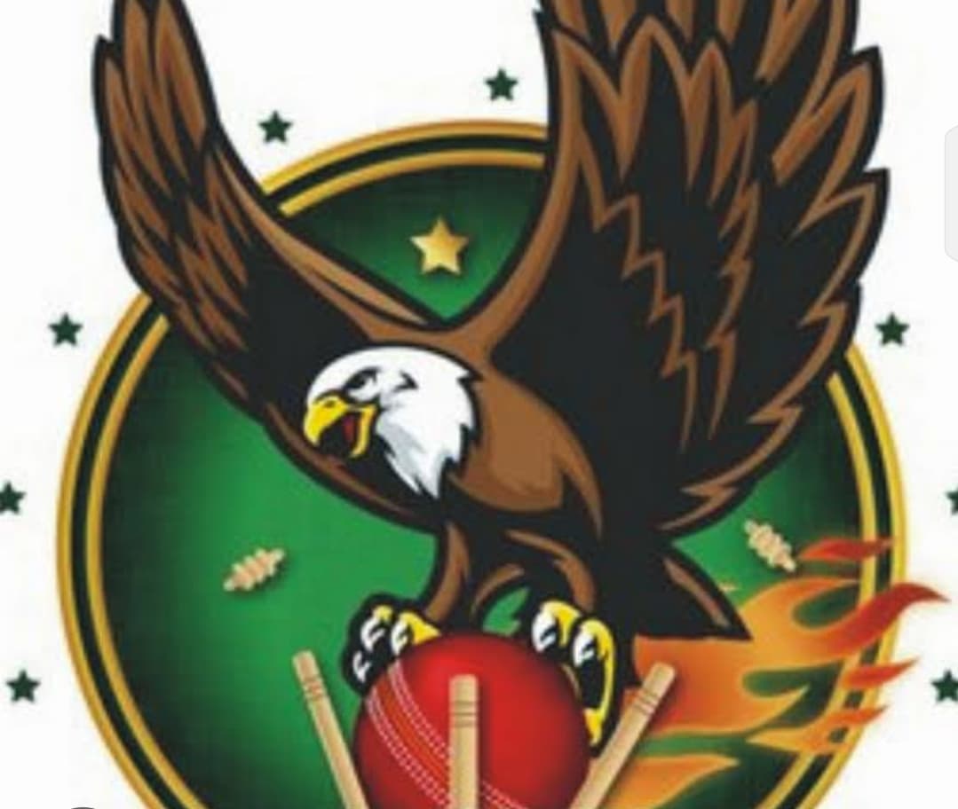 Faisalabad Shaheen
