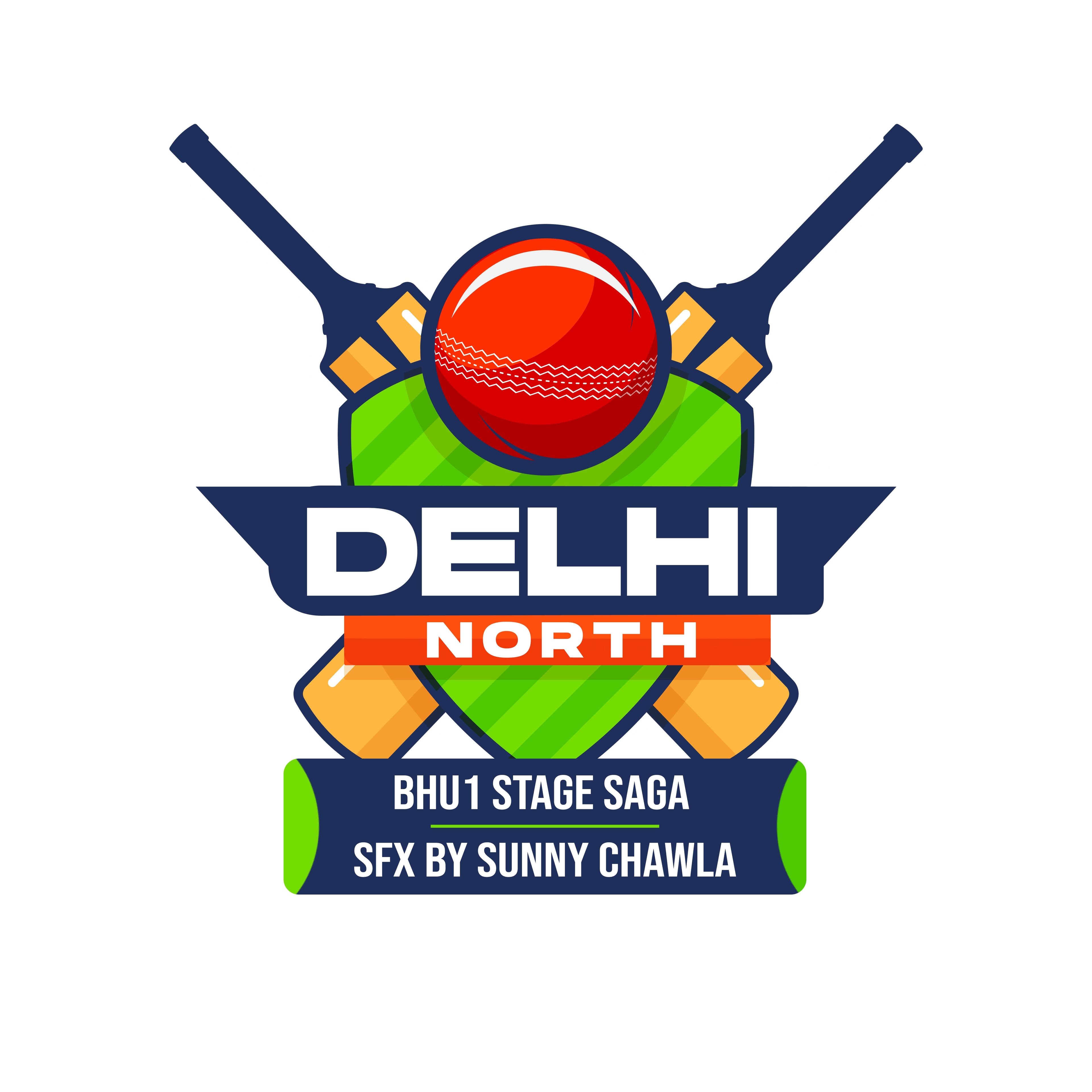 Delhi Dhamaka team logo