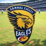 Sarhad Eagles