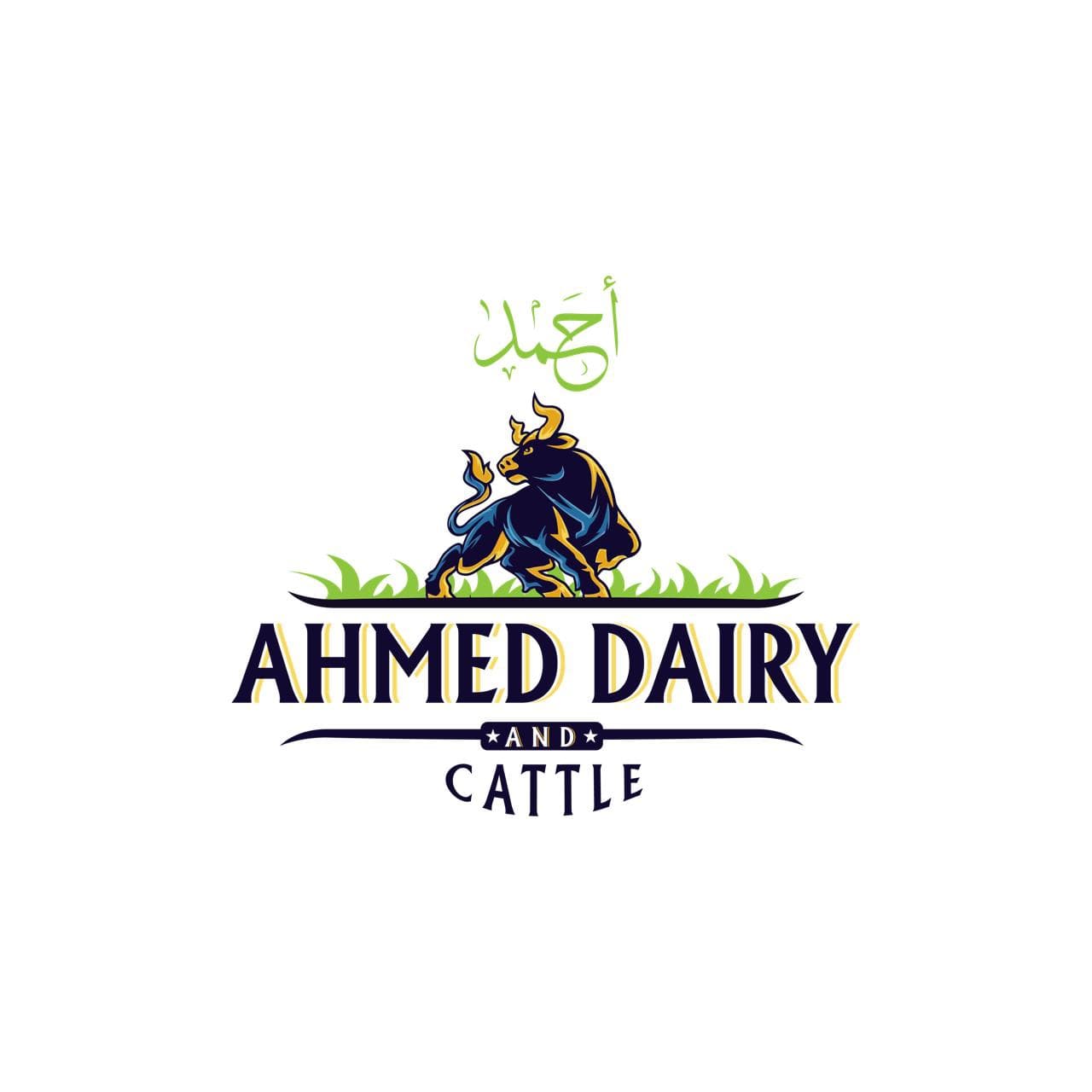 Ahmed Dairy And Cattle