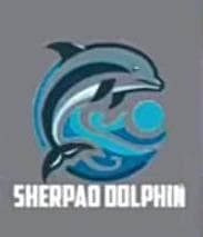 Shairpao Dolphin