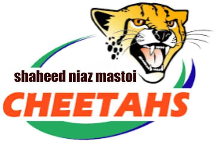 Shd Niaz Mastoi team logo