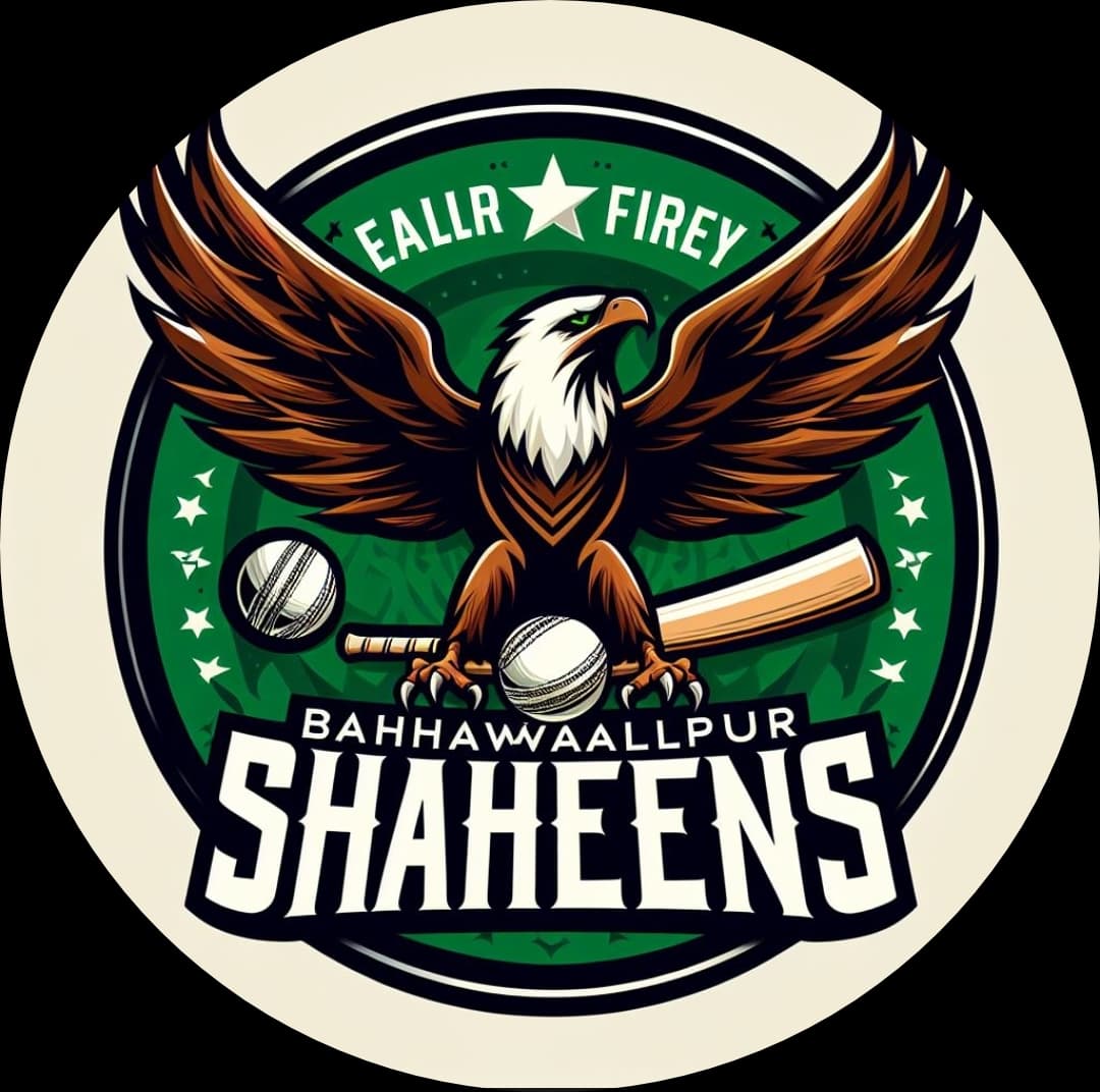 Bahawalpur Shaheens team logo