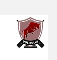 UOL BULLS team logo