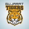 Gujarat Tigers