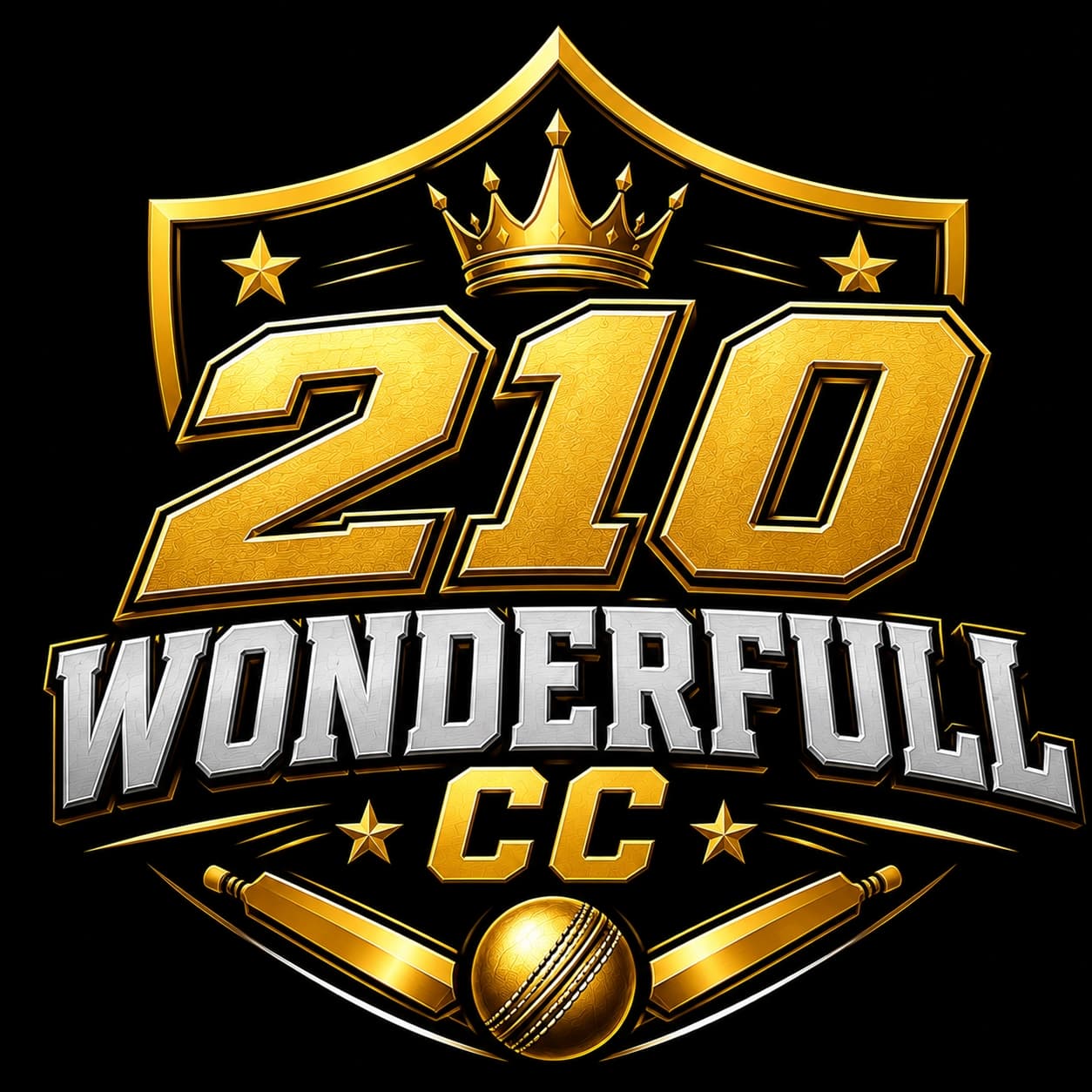 210 Wonderfull team logo