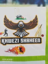 khwaizai shaheen team logo