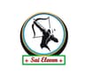 SAI ELEVEN
