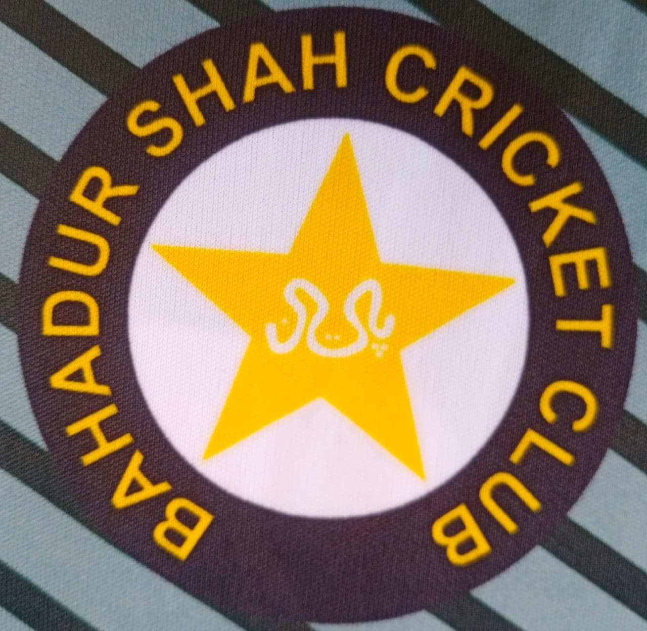 Bahadur Shah Heroes team logo