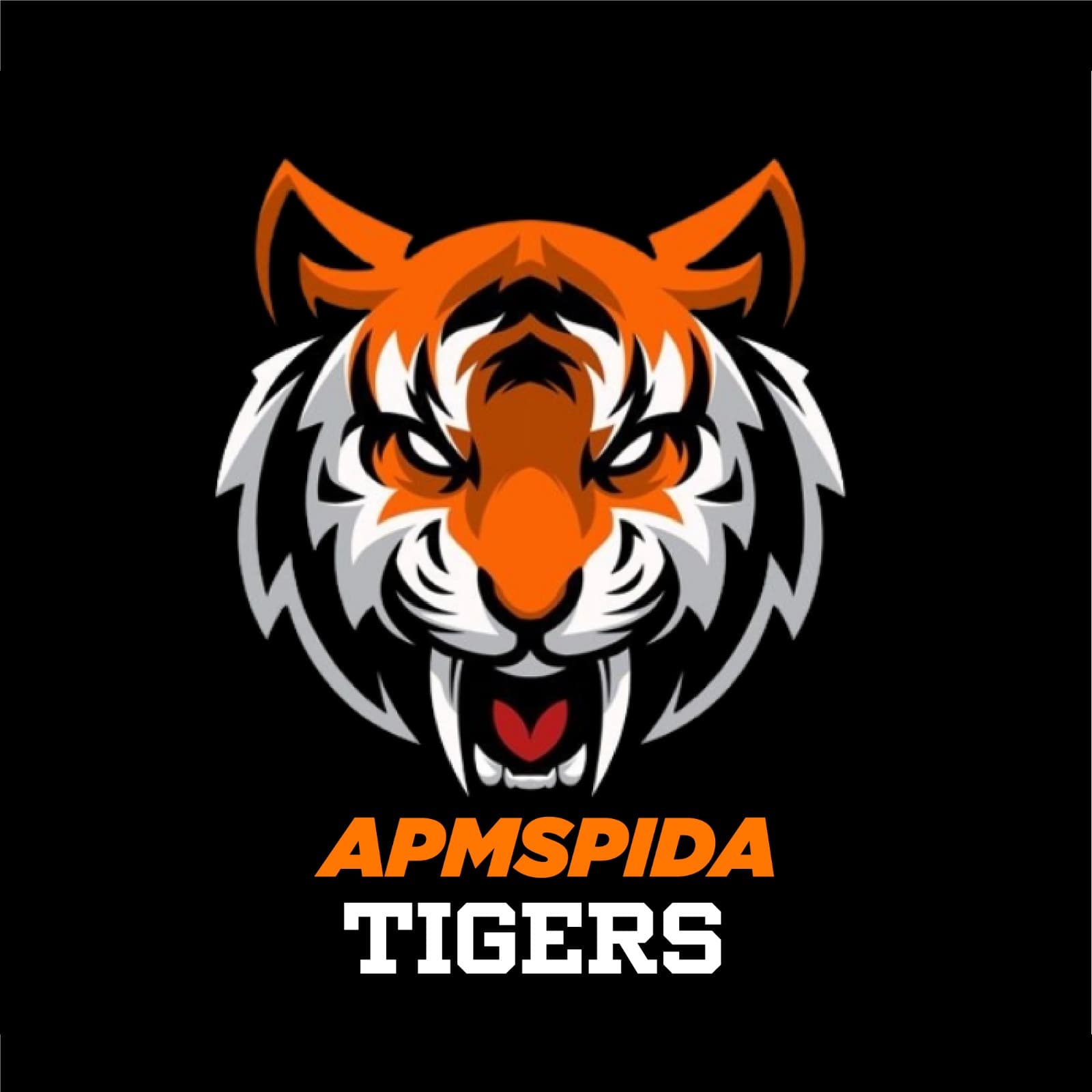 APMSPIDA TIGERS team logo