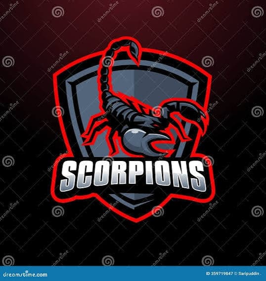 I.T ,Infosec & Digital Banking (Scorpions)