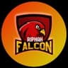 Riphah Falcons
