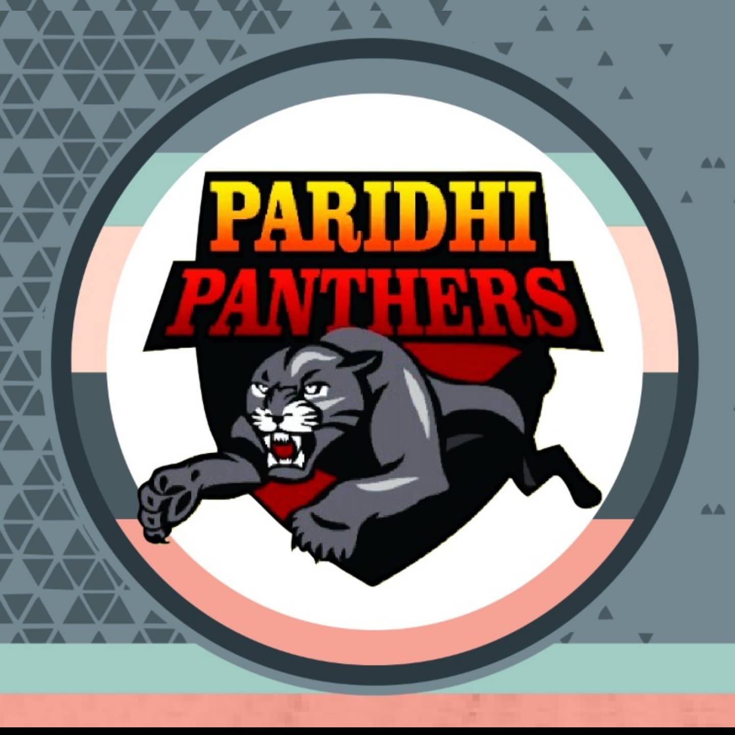 PARIDHI PANTHERS