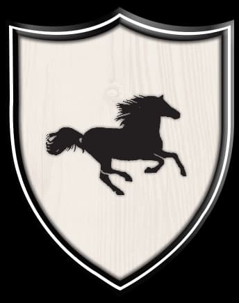 Tariq Road Stallions team logo