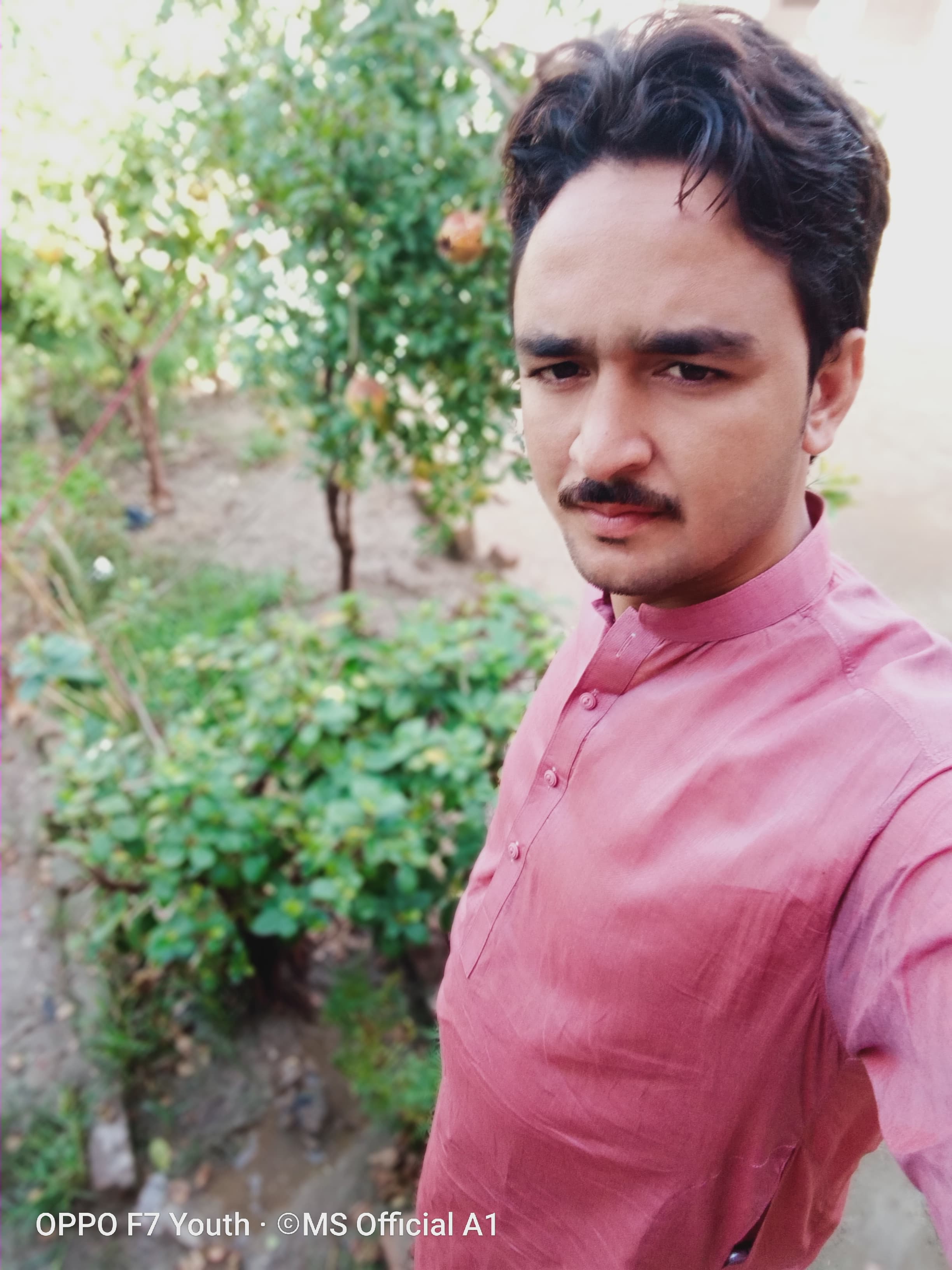 Sajid Tigers
