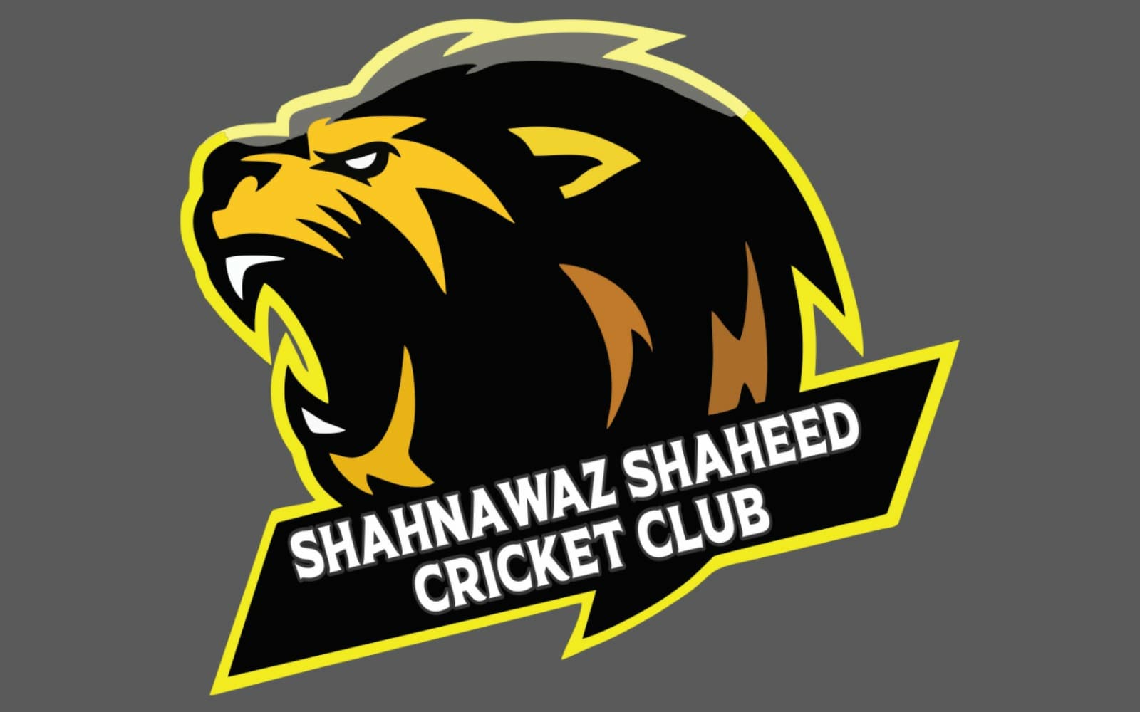 Shahnawaz Shaheed team logo