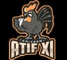 ATIF 11