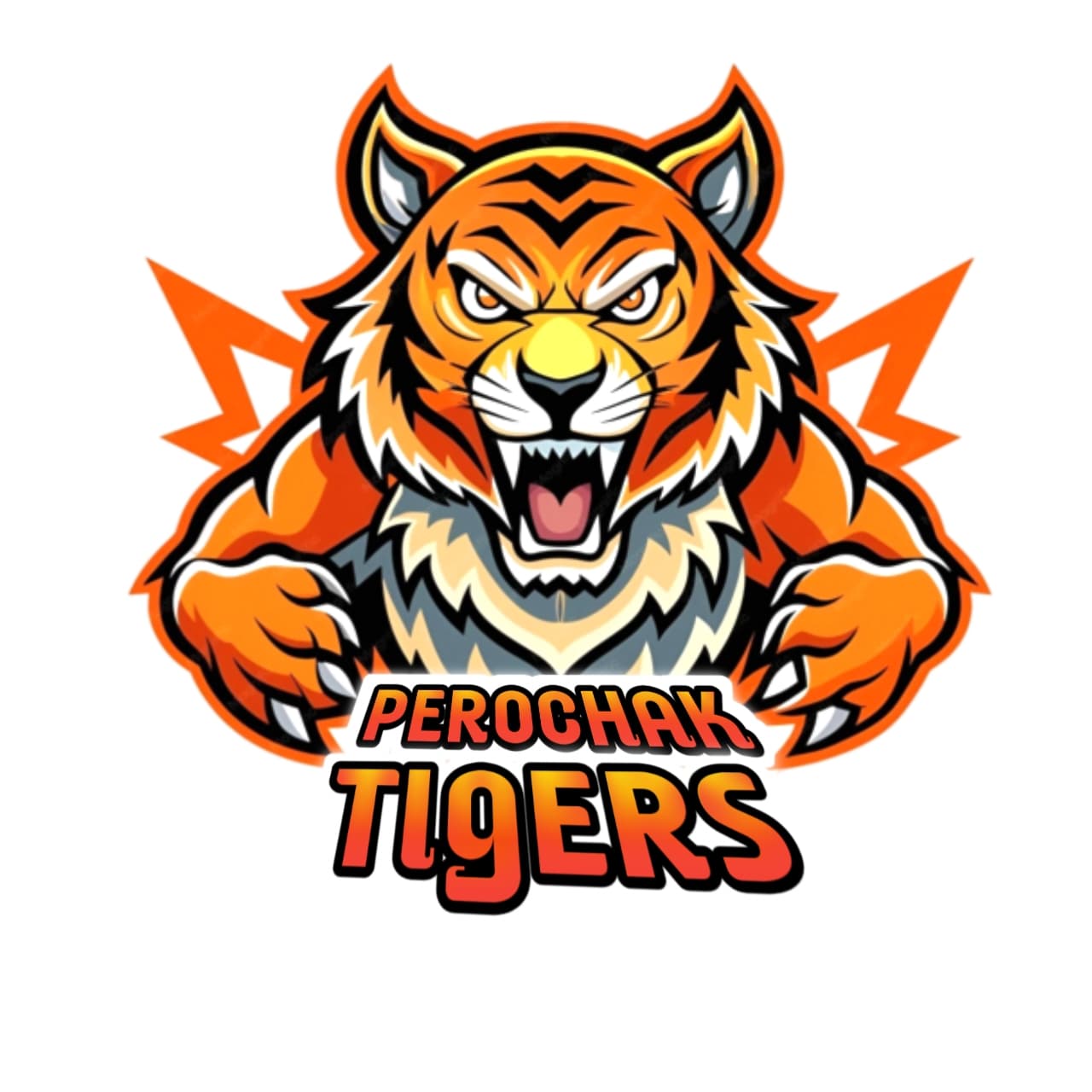 PEROCHAK TIGERS
