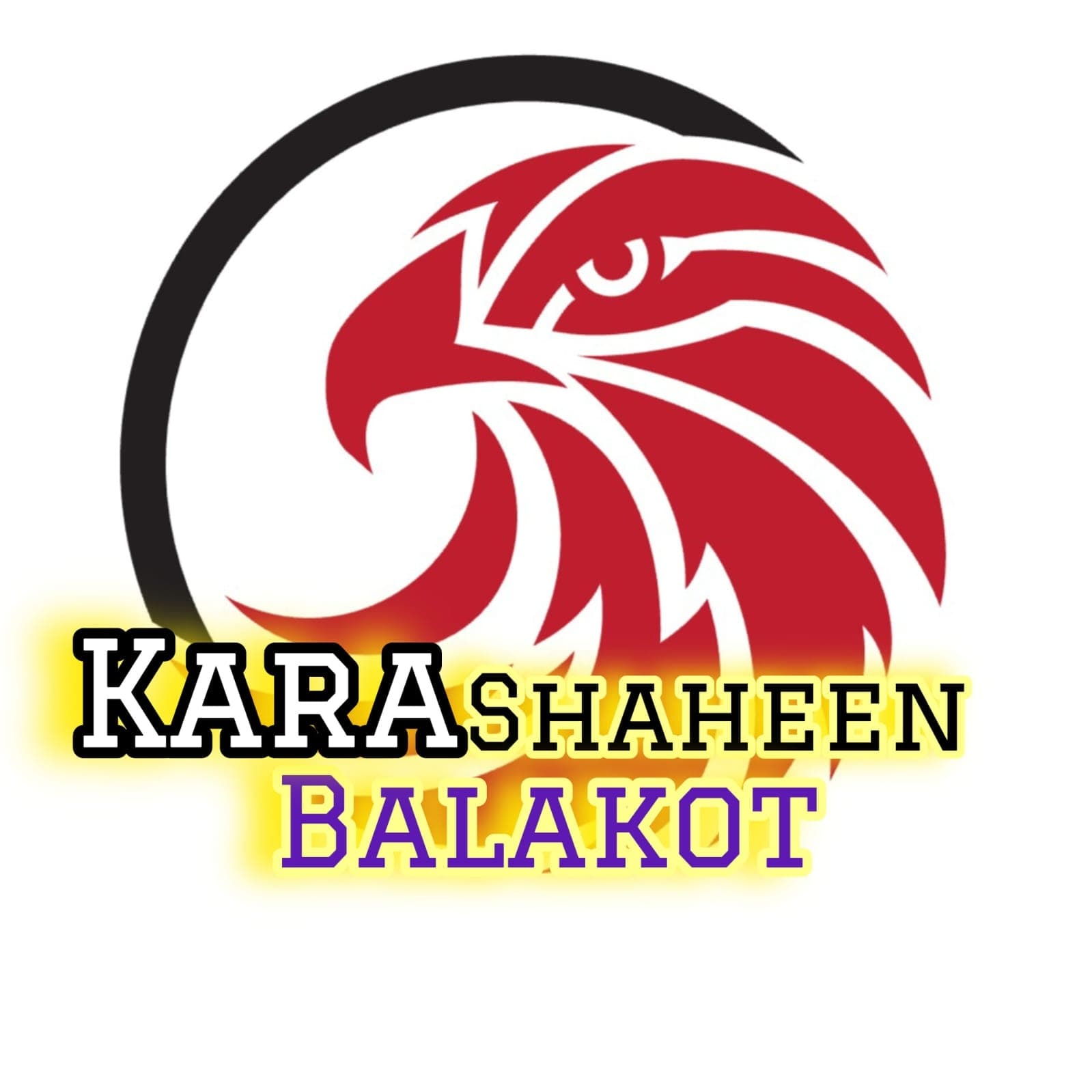 Kara Shaheen team logo