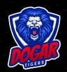 DOGAR TIGERS