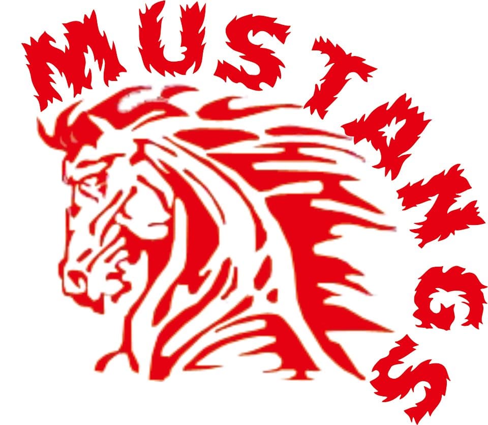 Mustangs Cricket Club