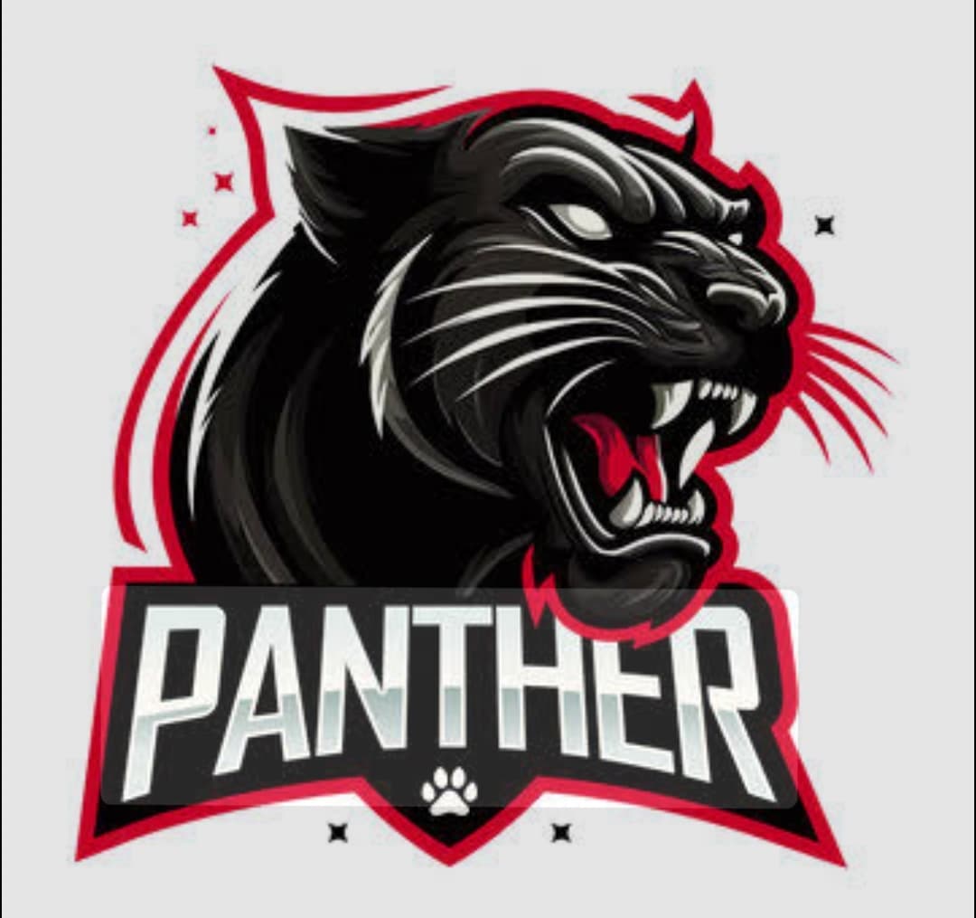 Wasif Butt team logo