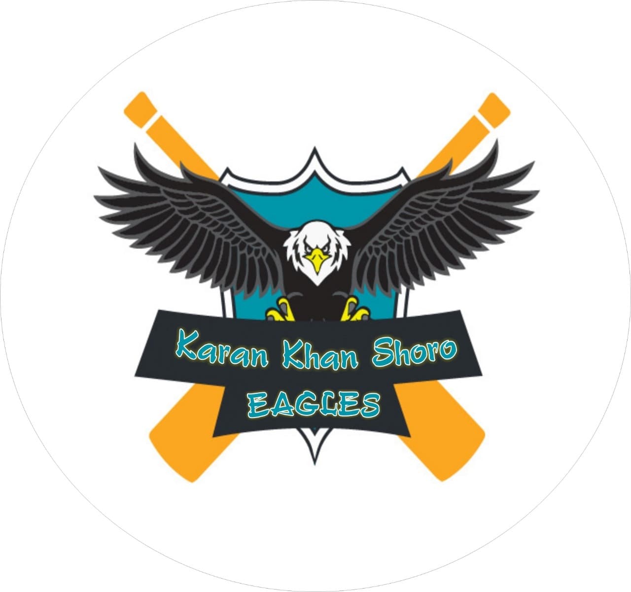 Karan Khan Shoro Eagles team logo