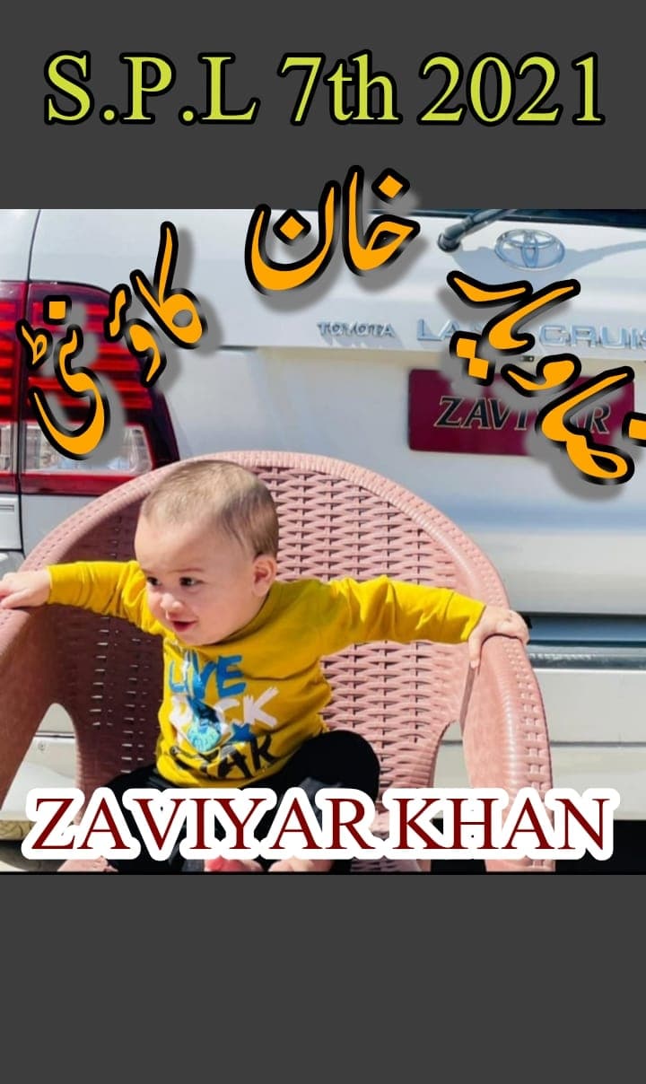 ضاویار زلمی