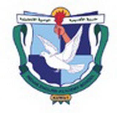 Don Bosco A team logo