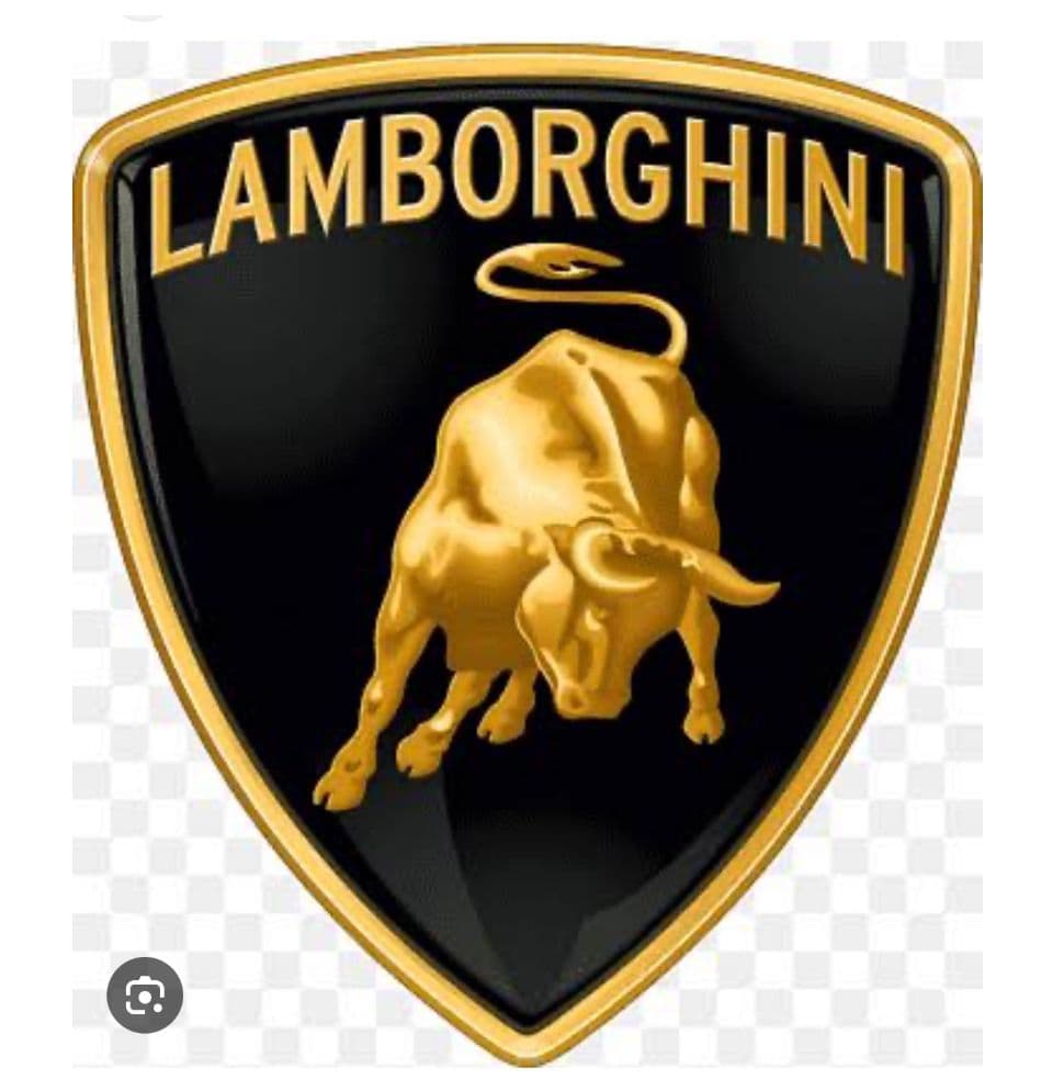Lamborghini team logo