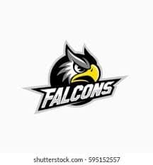 Faysal Falcons