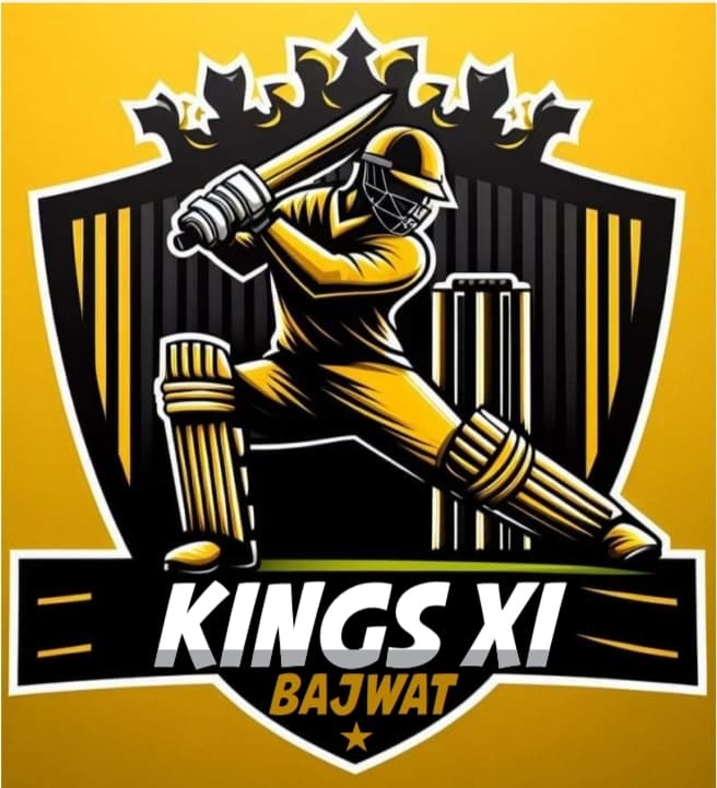 Kings Xi Baili team logo