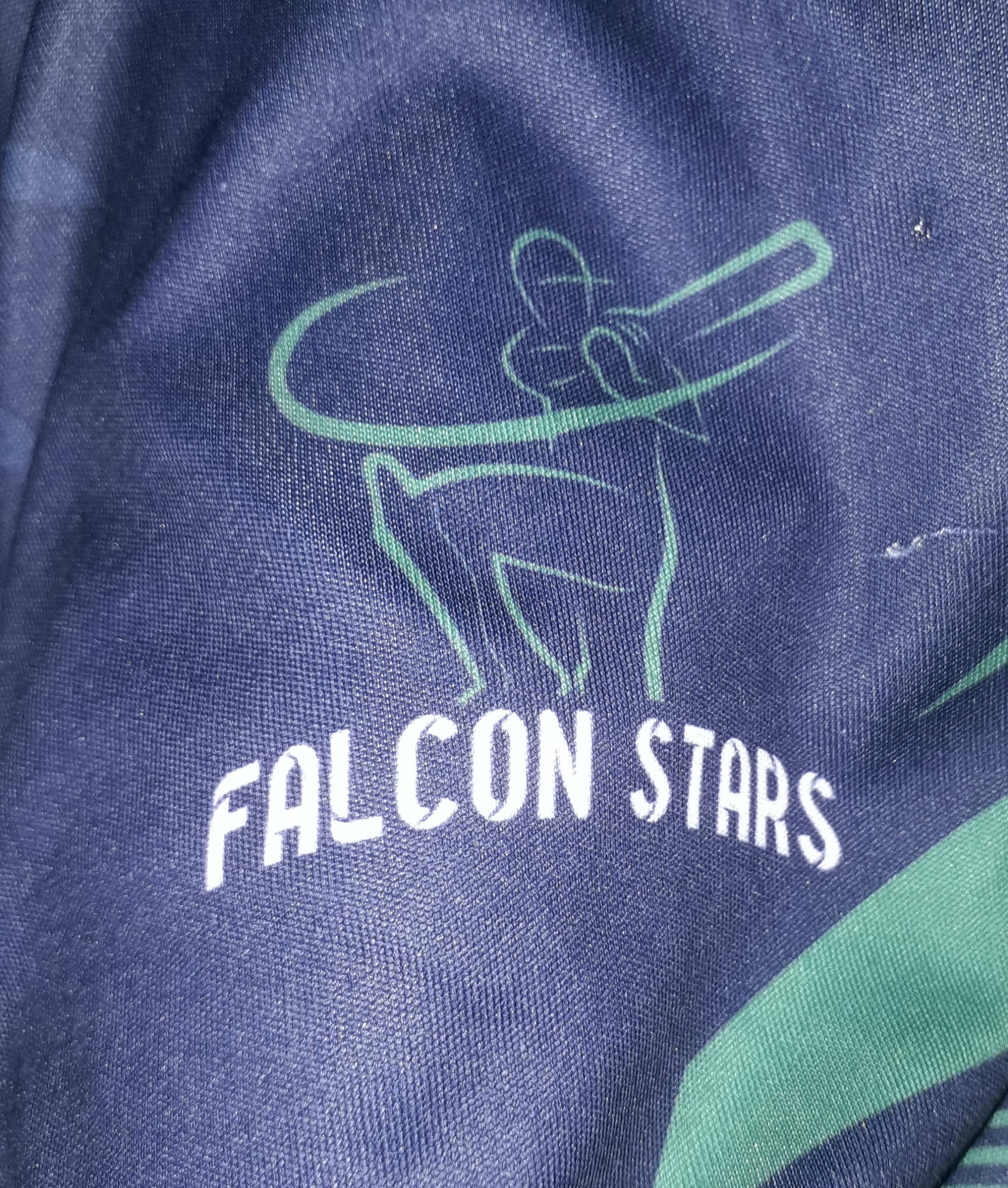Falcon Star