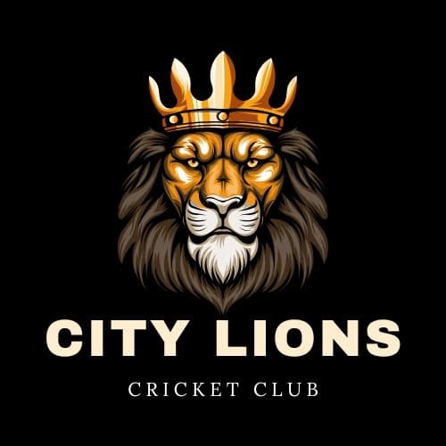 City Lions team logo