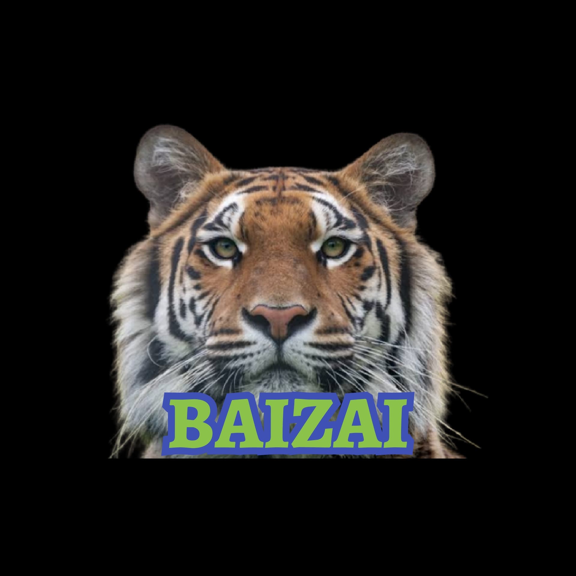 BAIZAI TIGER team logo
