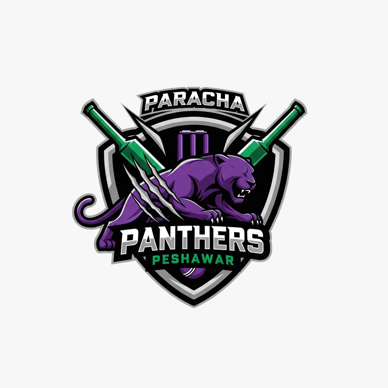 Paracha Panthers Peshawar team logo