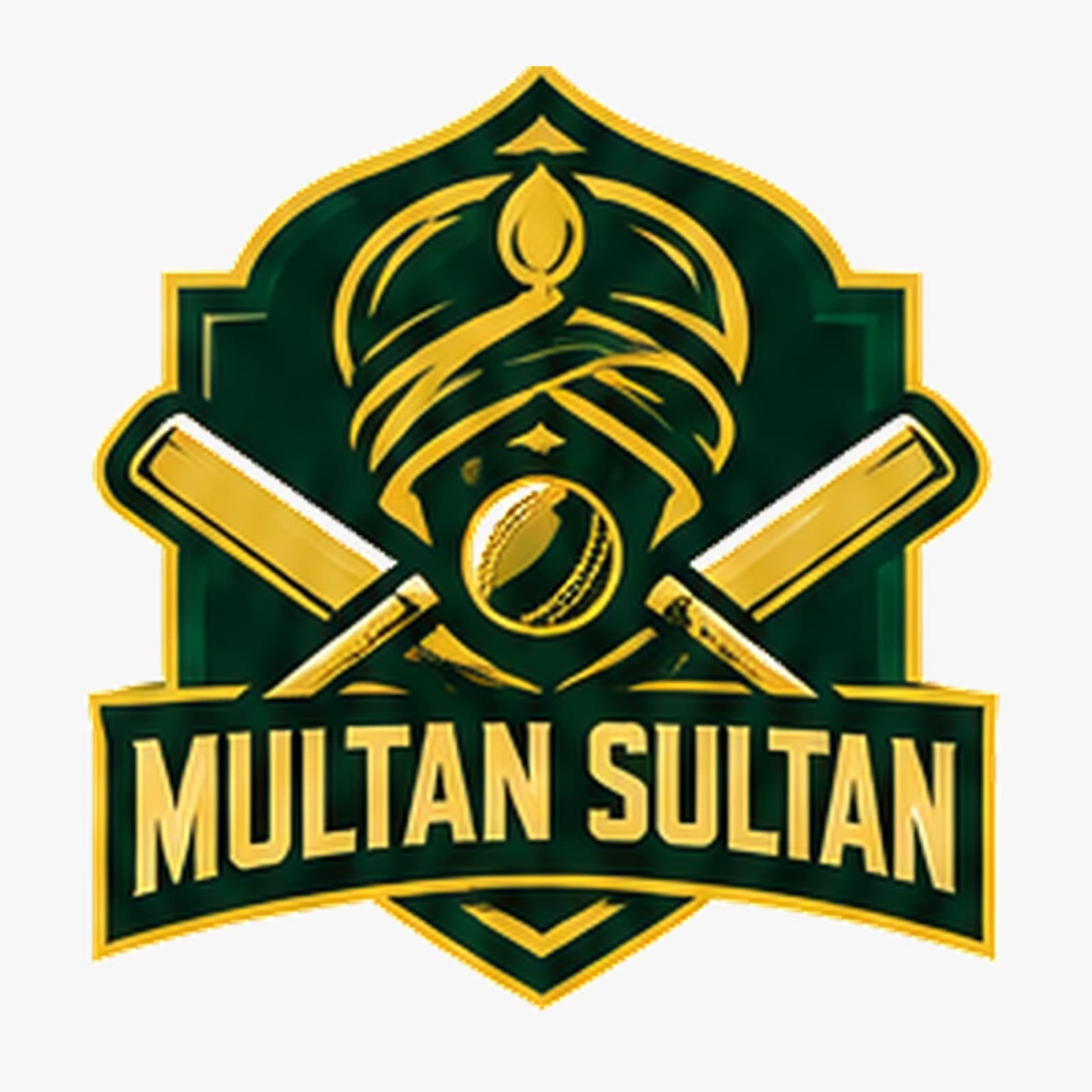 MULTAN SULTAN team logo