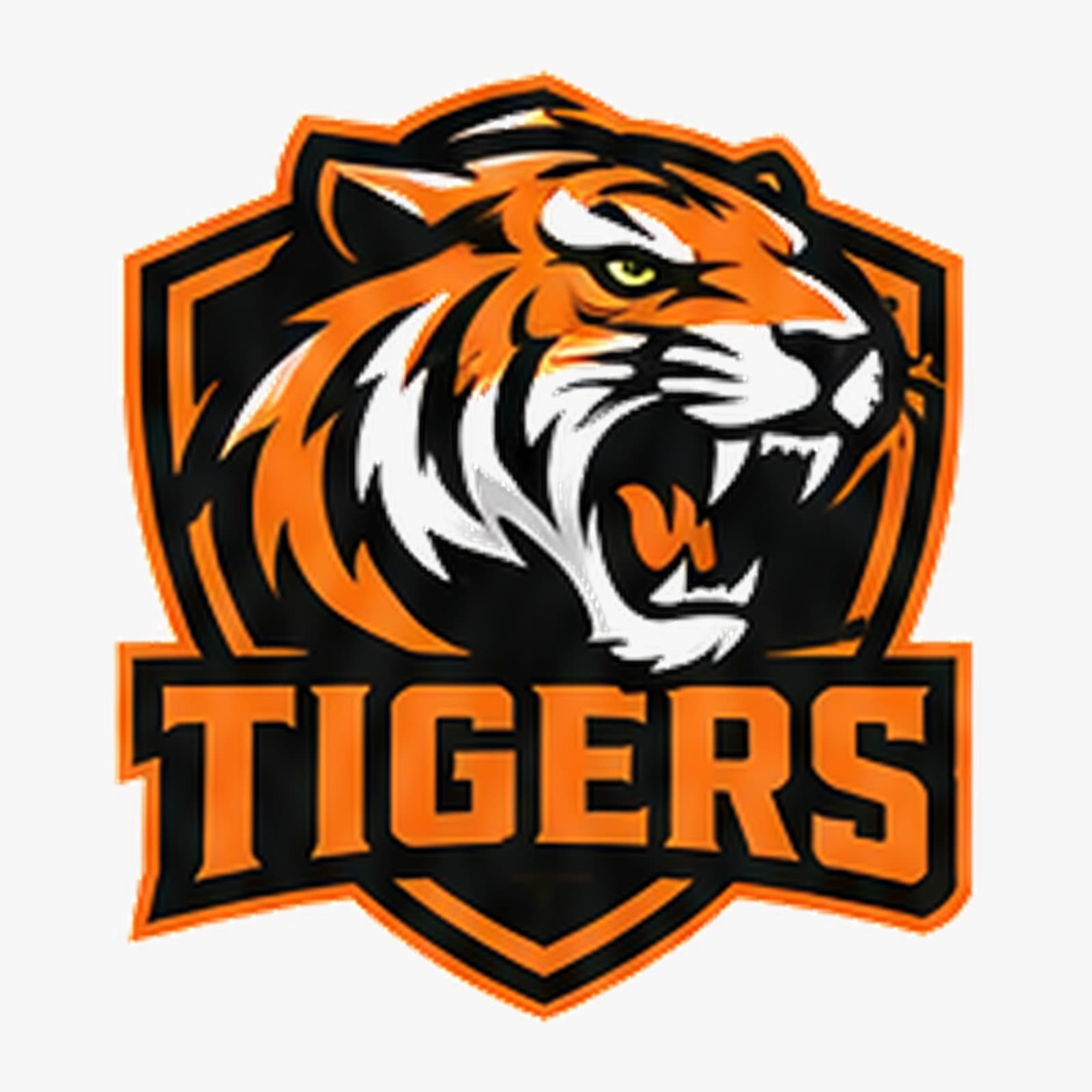 Qasim team logo