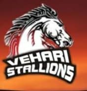 Vehari Stalions team logo