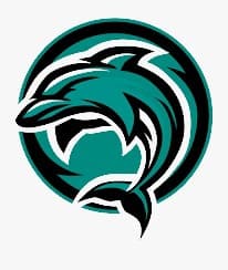 Kasur Dolphin team logo