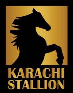 Karachi Stallions team logo