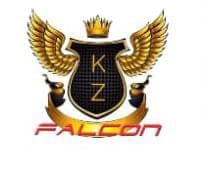 KZ FALCONS team logo
