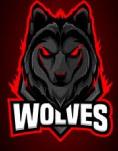 FSD WOLVES