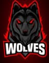 FSD WOLVES