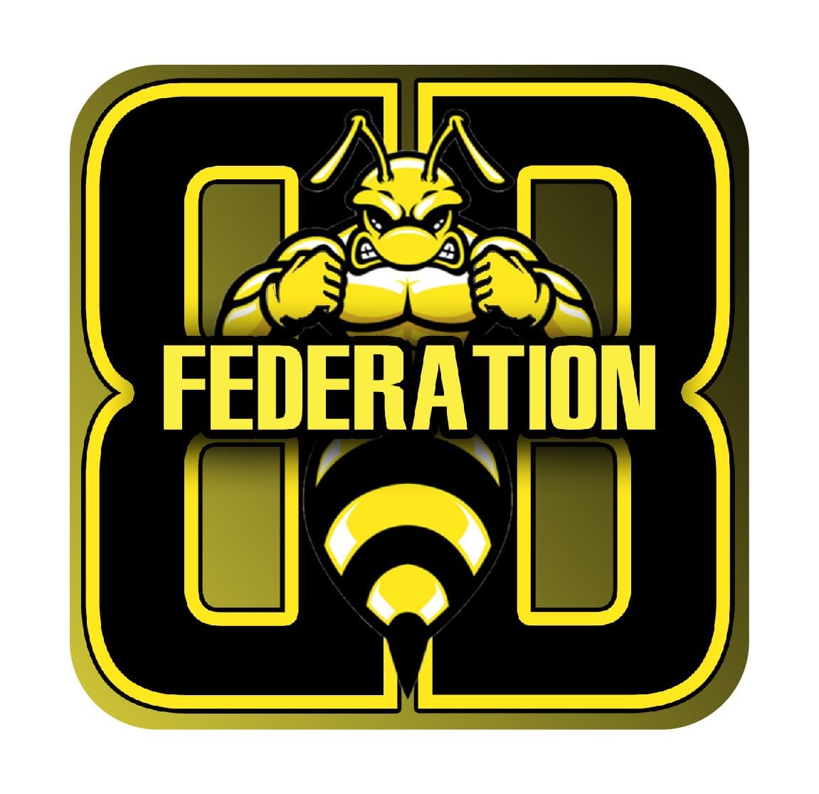 BB Federation team logo