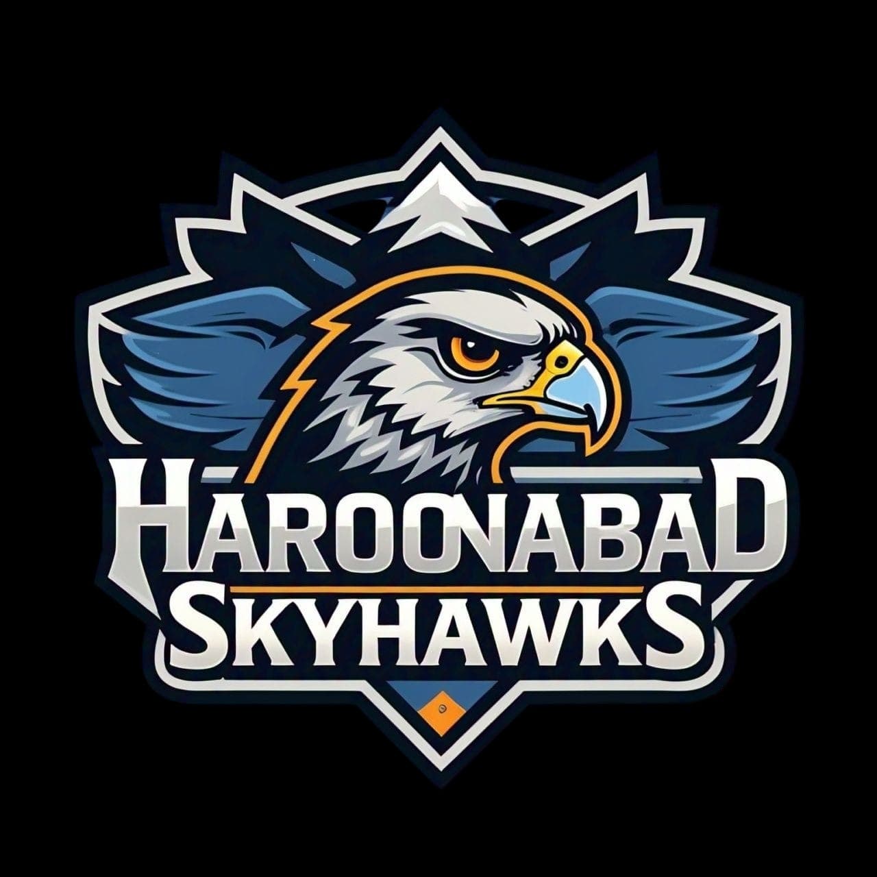 Haroonabad Sky Hawks team logo