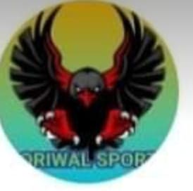 Boriwal Sport team logo