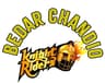 Bedar Chandio Knight Riders
