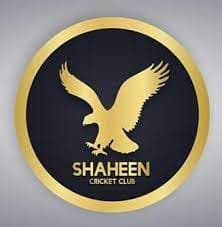 Shahenn cricket club